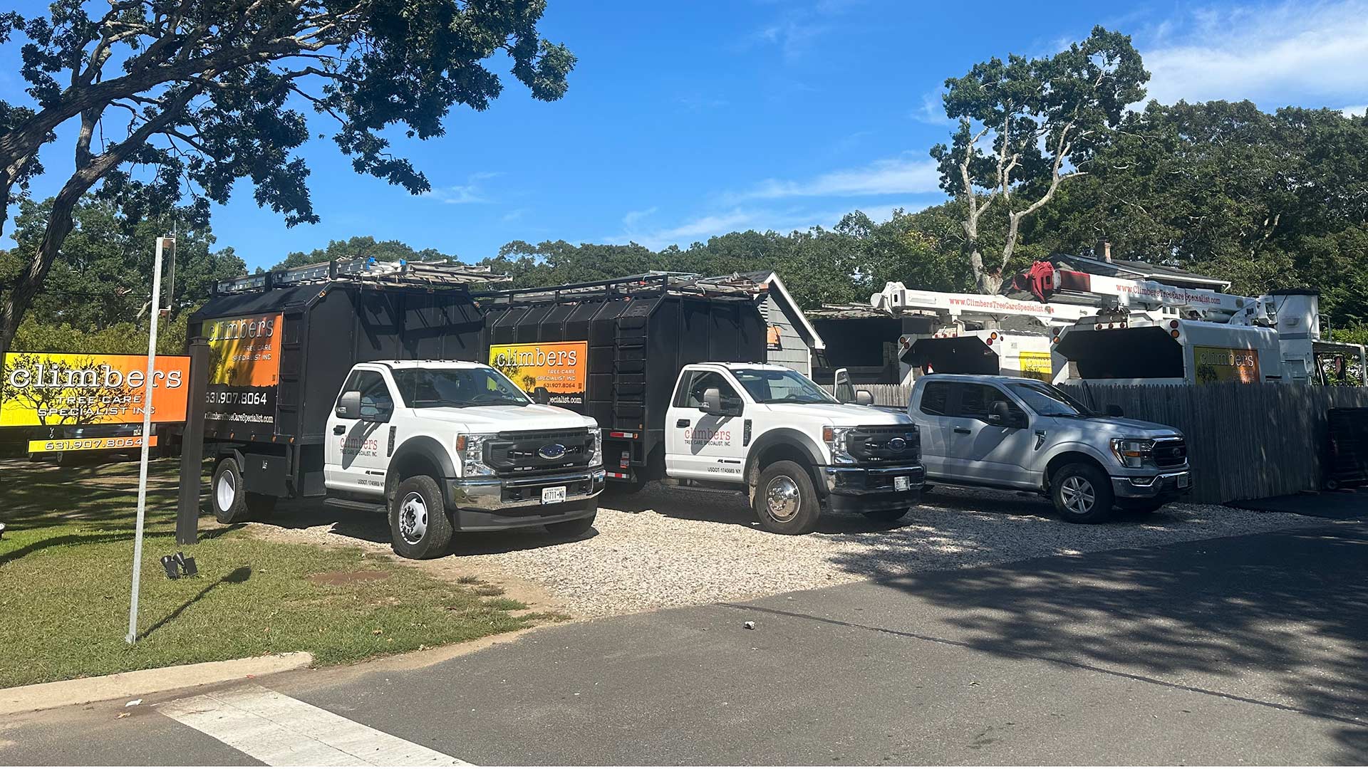 Contact Tree Care Specialists Long Island | Climbers Tree Care